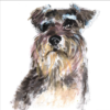 Greeting card with an expressive Scnauzer dog illustration named Max