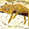 Pantherpardus Leopard Greeting Card – Wild Big Cat Art for Every Occasion