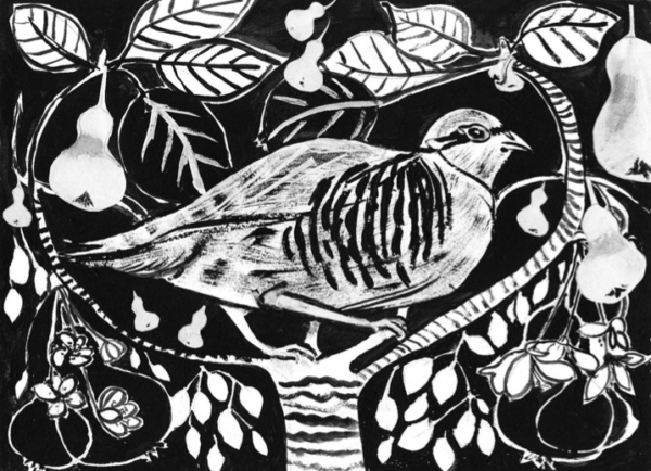 Partridge in a Pear Tree
