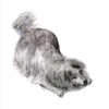 Greeting card featuring a fluffy dog in a playful bowing pose with the title “Play with Me.”