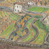 Portuguese Terracing