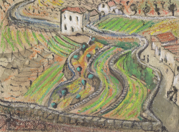Portuguese Terracing