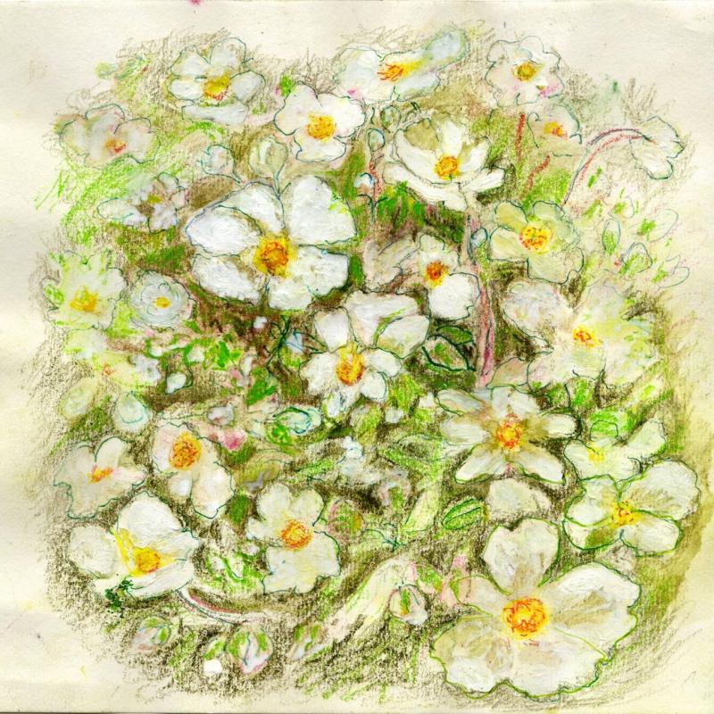 Artists on Cards Ltd potentillaeiMK Potentilla  