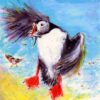 Hungry Puffin