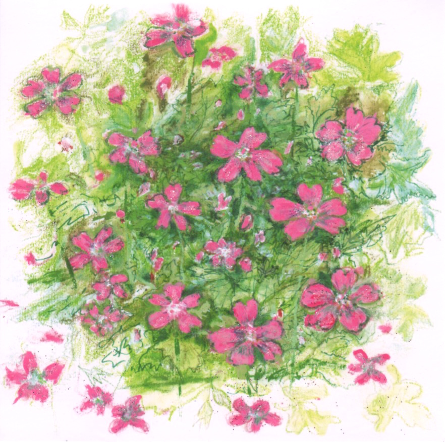 Artists on Cards Ltd ramblingpinkgeranium8WB Rambling Pink Geranium  