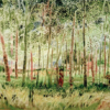 Village Stream and Poplars, Dordogne