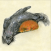 Greeting card featuring an artistic illustration of a playful dog and cat titled 'Shenanigans', ideal for animal lovers