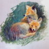 Slumbering Cubs