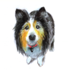 Greeting card featuring a smiling Collie-style dog with the caption “Smile, it’s free therapy!”