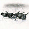 Sparrows in the Snow