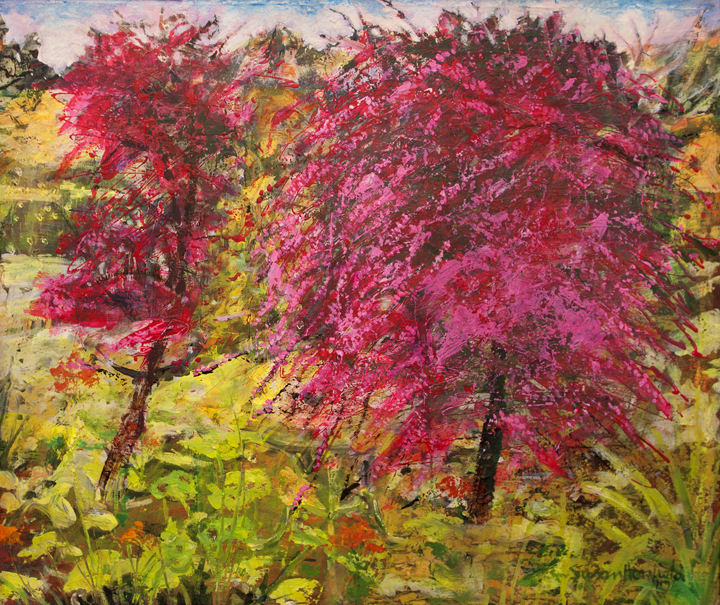 Artists on Cards Ltd springfloweringhisakuracherrytree432 Spring Flowering Hisakura Cherry Tree  