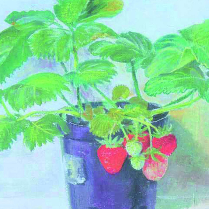 Artists on Cards Ltd strawberryplant439 Strawberry Plant  