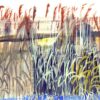 Suffolk Reeds