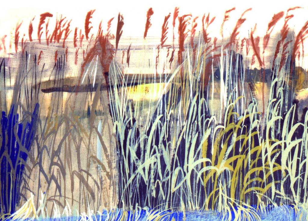 Artists on Cards Ltd suffolkreeds427 Suffolk Reeds  