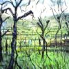Tall Vines, Portugal