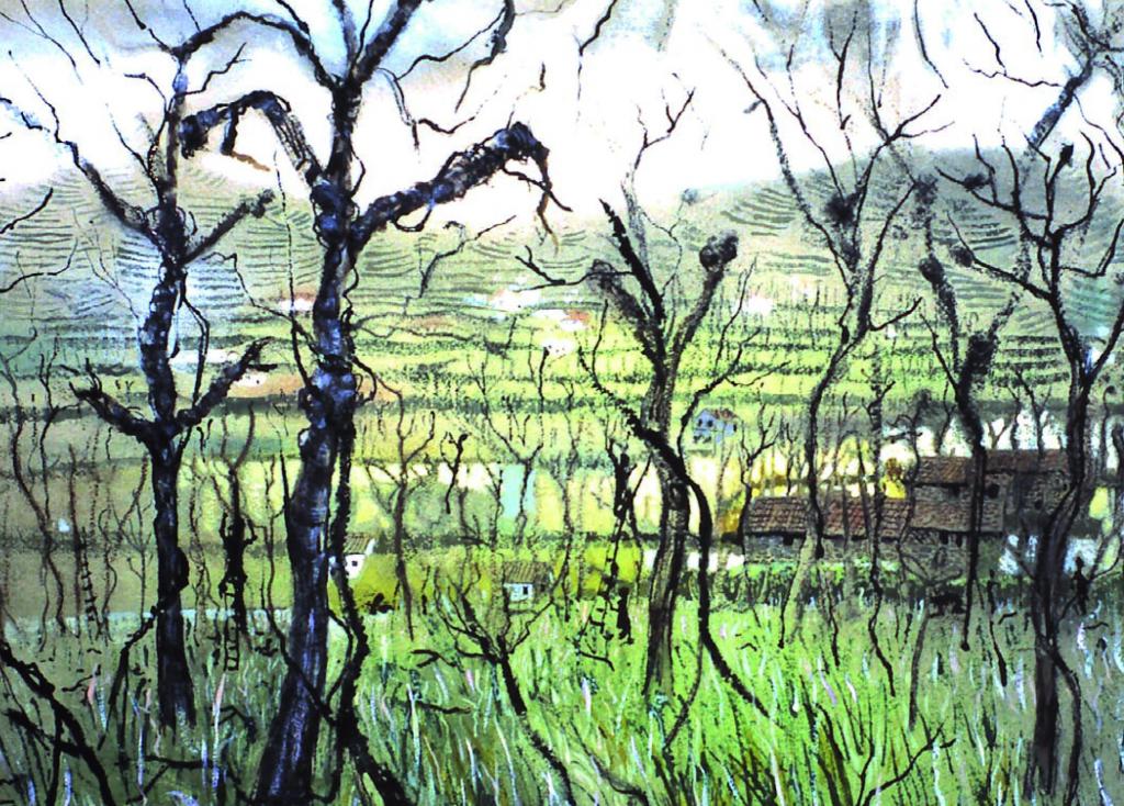 Artists on Cards Ltd tallvinesportugalDU64 Tall Vines, Portugal  