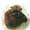 Greeting card with a charming bear illustration titled 'The Bear Necessities'