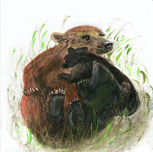 Artists on Cards Ltd thebearnecessitiesI83w The Bear Necessities  