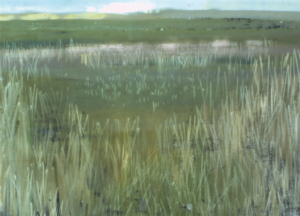 Artists on Cards Ltd themarsheswalberswickTuvV-300x216 THE MARSHES, WALBERSWICK  