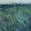 The Reeds, Walberswick