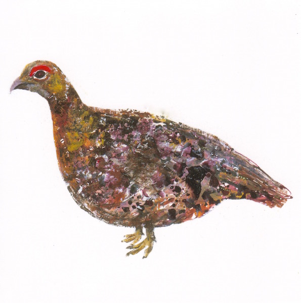 Artists on Cards Ltd vulnerablehenpheasantxmas609 Vulnerable Hen Pheasant XMAS  