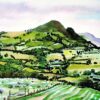 Welsh Border Farm