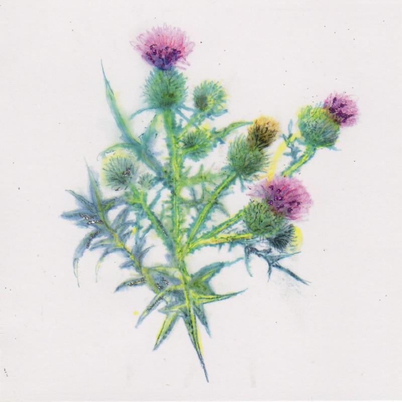 Artists on Cards Ltd wildthistle607 Wild Thistle  