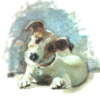 A painting of a Jack Russell dog lying on the floor with inquisitive eyes. A greeting card for a dog loving person.
