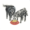Dog-themed greeting card – hand-drawn illustration of two black dogs enjoying a meal from a red bowl labeled 'Good Dogs', perfect for pet lovers.