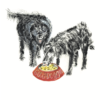 Dogs, Bo Bo and Co - Image 2