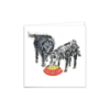 Dogs, Bo Bo and Co - Image 3