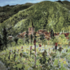 Pujol Vineyards, Languedoc