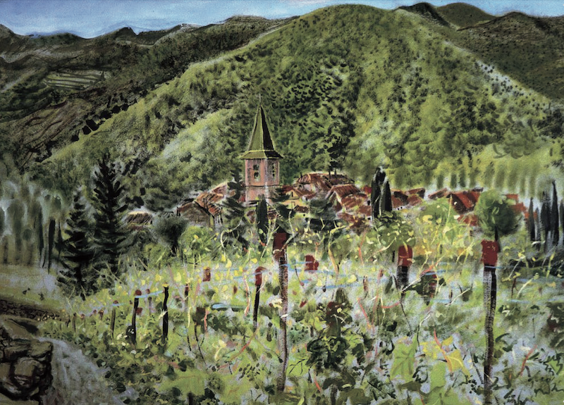 Artists on Cards Ltd Pujol-for-website-2 Pujol Vineyards, Languedoc  