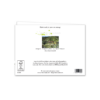 Pujol Vineyards, Languedoc - Image 2
