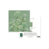 Cow Parsley in Summer - Image 3