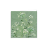 Cow Parsley in Summer - Image 2