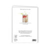 Amaryllis Belladonna Flowers - Image 4