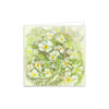 Potentilla - Image 2