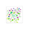 Herb Robert - Image 2