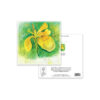 Yellow Iris - Image 3