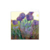 Summer's Haze - Image 2