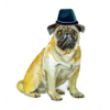 Funny pug greeting card – hand-painted illustration of a pug wearing a stylish fedora hat, perfect for dog lovers and special occasions