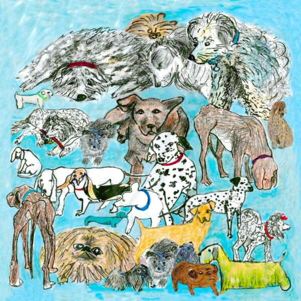 Greeting card with hand drawn dogs and text that reads 'We Love Dogs', perfect for dog lovers