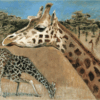 Greeting card featuring an artistic illustration titled 'Angolan Giraffes', ideal for animal lovers