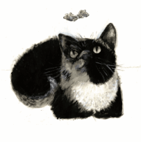 Black and white tuxedo cat greeting card showing Marcel the cat looking up at a small butterfly