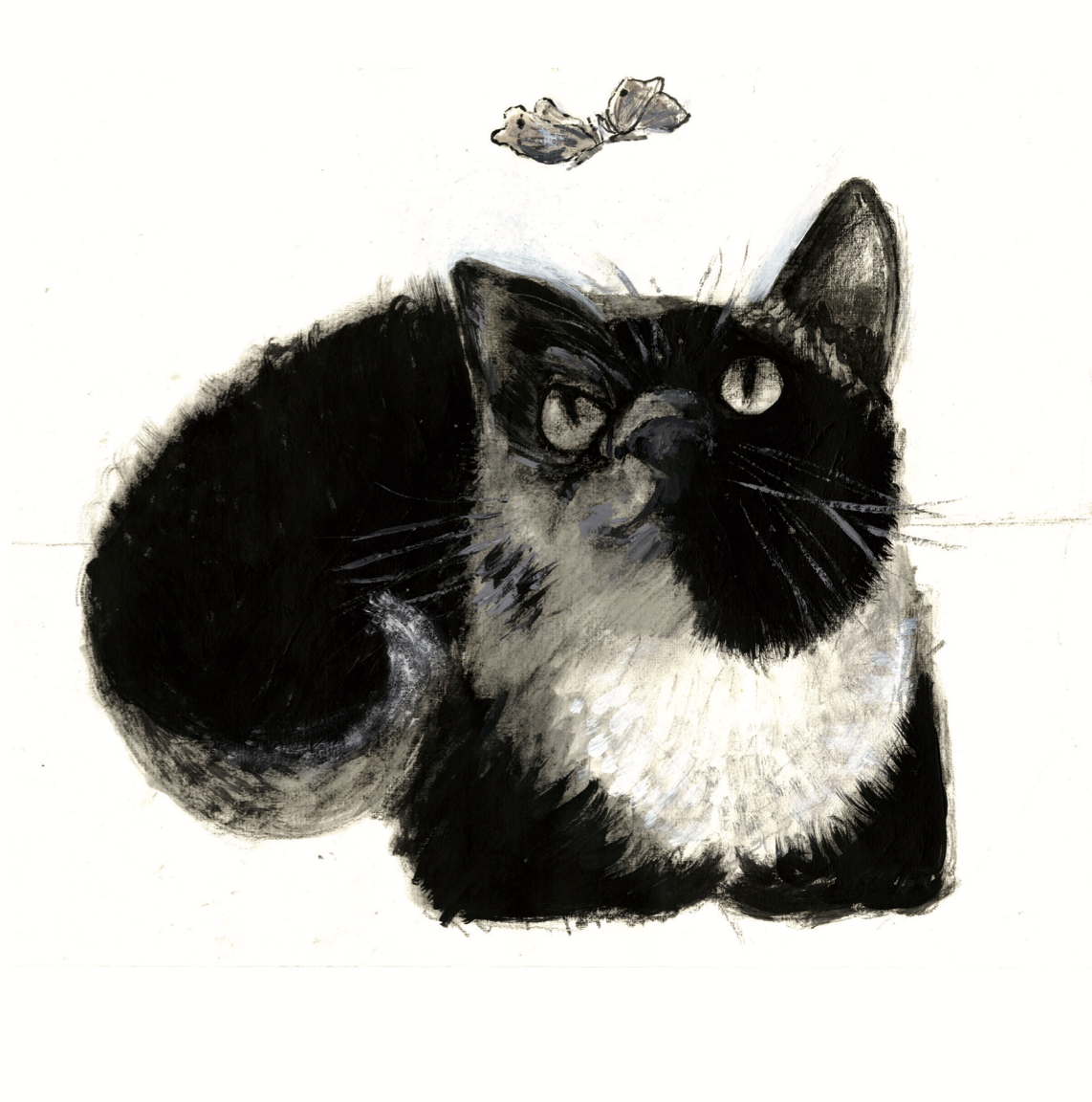 Artists on Cards Ltd marcel-black-and-white-cat-greeting-card-front Marcel the Cat – Black & White Cat Greeting Card by Susan Horsfield