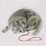 "hand drawing of a Schnauzer dog in a pensive mood lying down next to a red lead"