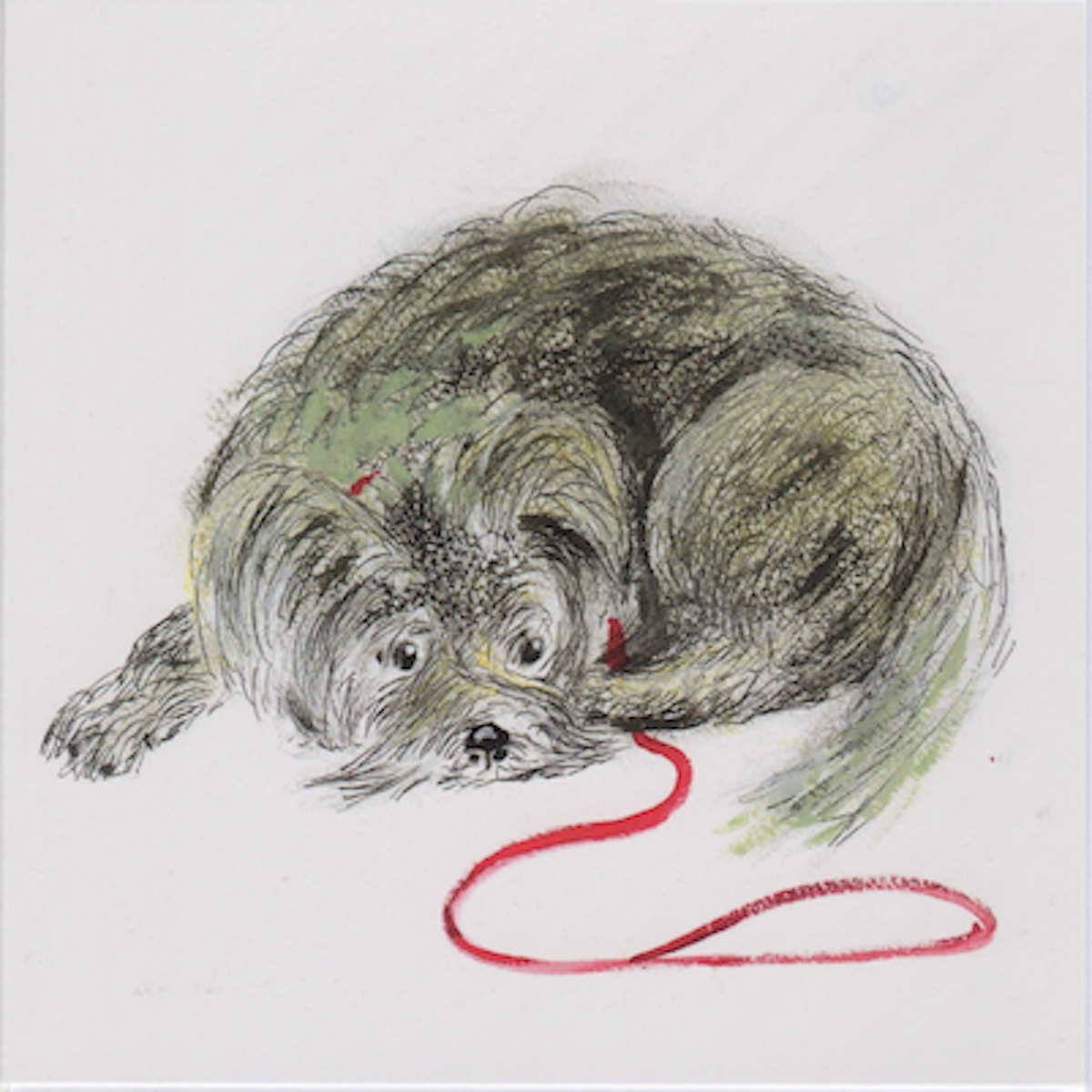 Artists on Cards Ltd the-chosen-one446-1 Schnauzer Dog Greeting Card – Quirky and Humorous Pet Design  