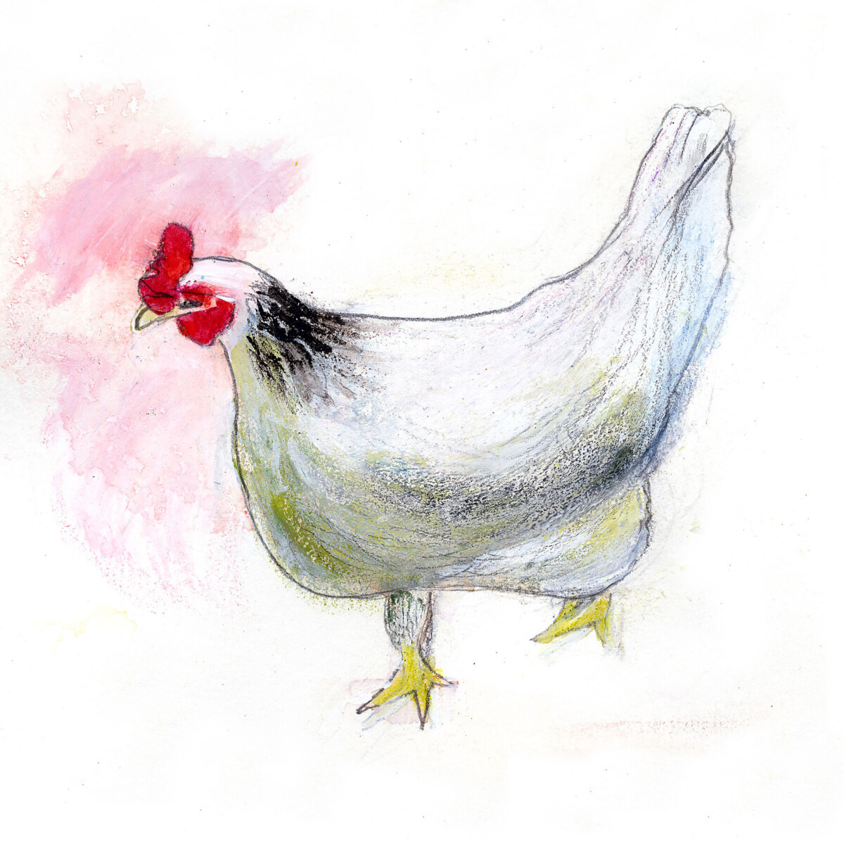 Artists on Cards Ltd dff0feec76a149c3941f722eb025d058-2 White Hen Art Print – Farmyard Kitchen Wall Art, Giclée Print (40 x 40 cm)  