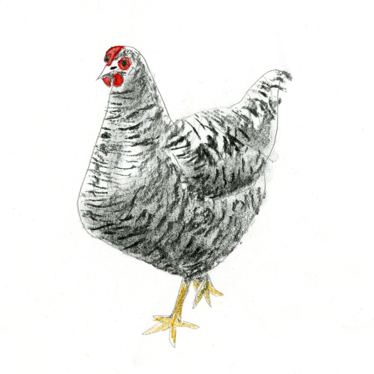 Artists on Cards Ltd 54aa21d1-03c3-4ae0-b170-da6ebac89a06-2 The Speckled Hen – Framed Giclée Farmyard Art Print  